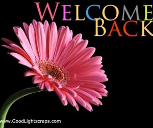 Welcome Back