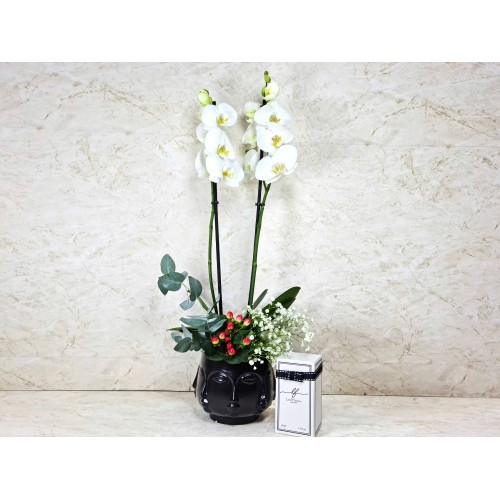 Orchid Plant In Face Vase 4