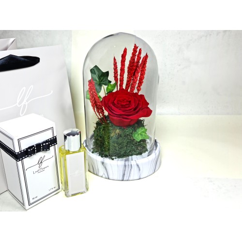 Happy Anniversary 29