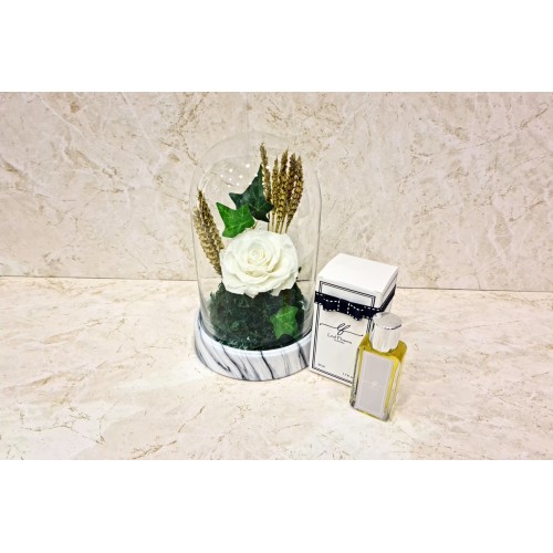 White Rose Forever 5