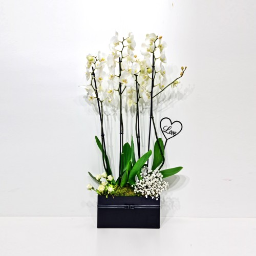 I Love You Flowers 24