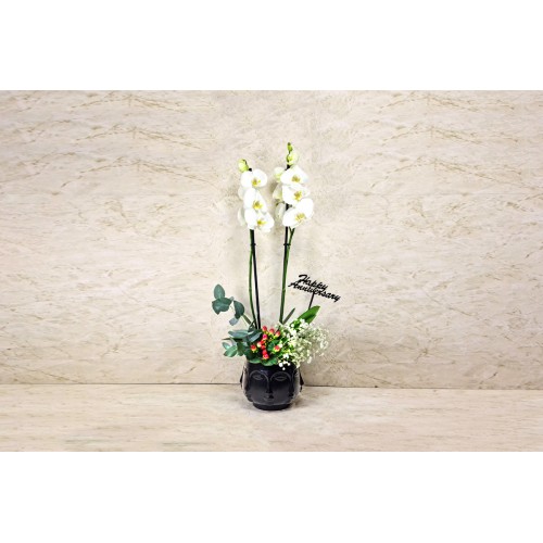 Happy Anniversary 179