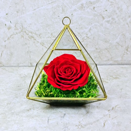 Preserved Rose Red 1001