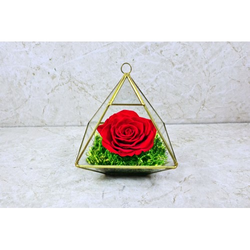 Preserved Rose Red 1001