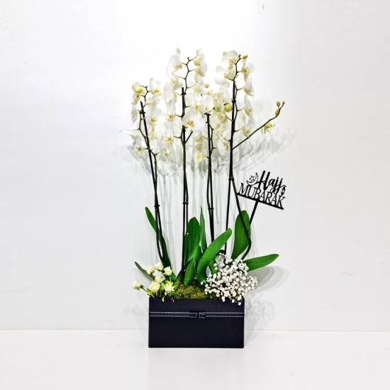 Hajj Mubarak Flowers 25 Hajj Mubarak Flowers 25