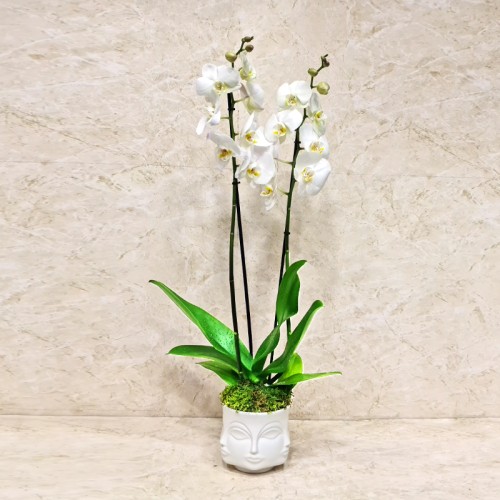 White Orchid Face Vase