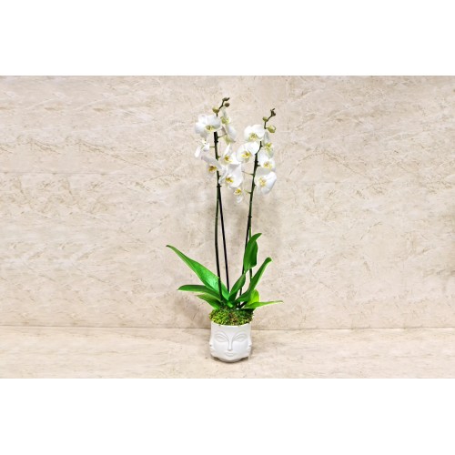 White Orchid Face Vase