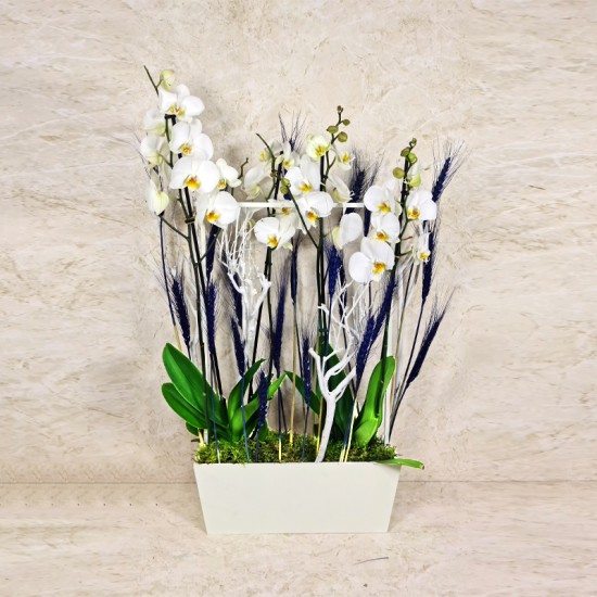 Teacher's Day Special 2