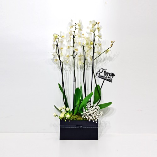 Graduation Flowers 134