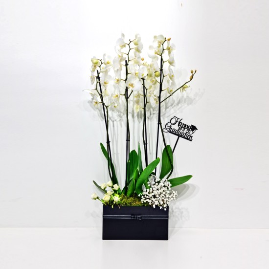 Graduation Flowers 134