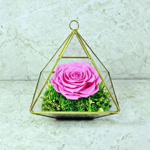 Preserved Rose Pink 1001