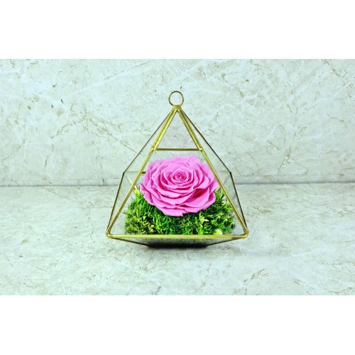 Preserved Rose Pink 1001