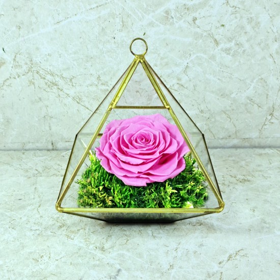 Preserved Rose Pink 1001