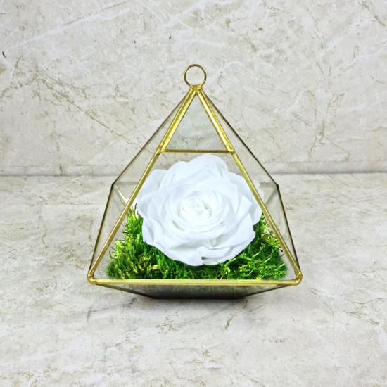 Preserved Rose White 1001