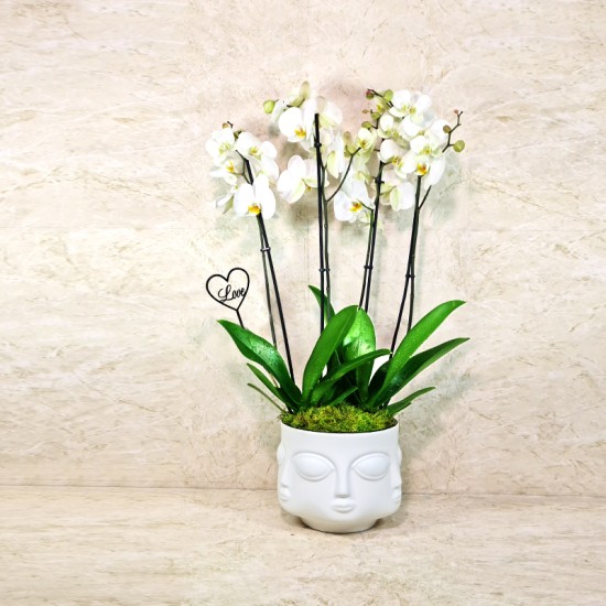 Valentine's Day 1001