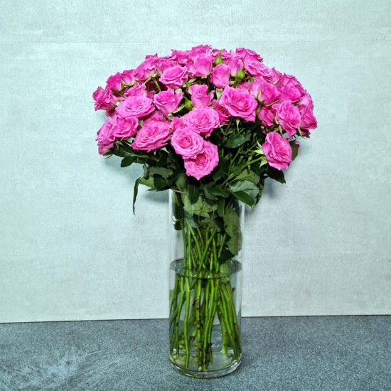 Dark Pink Beauty 1000