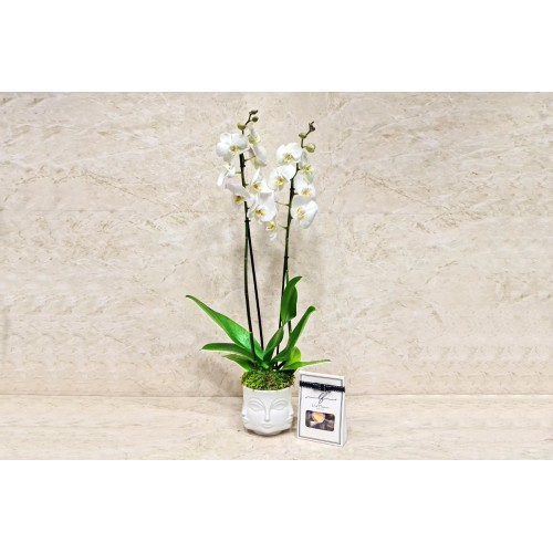 White Orchid Face Vase 2