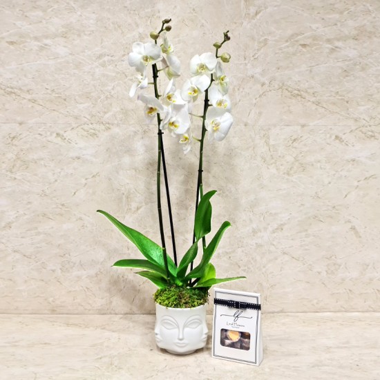 White Orchid Face Vase 2