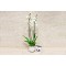 White Orchid Face Vase 2