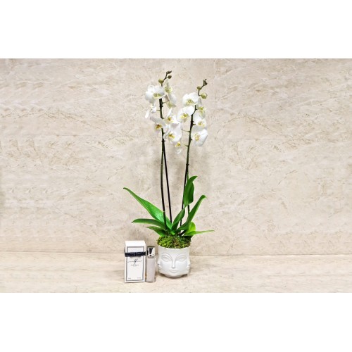 White Orchid Face Vase 3