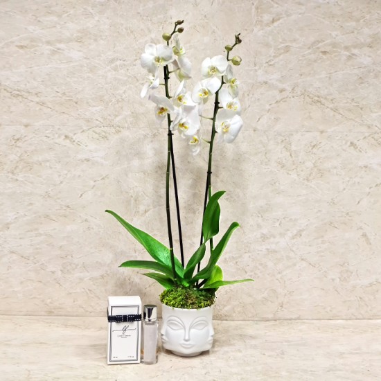 White Orchid Face Vase 3