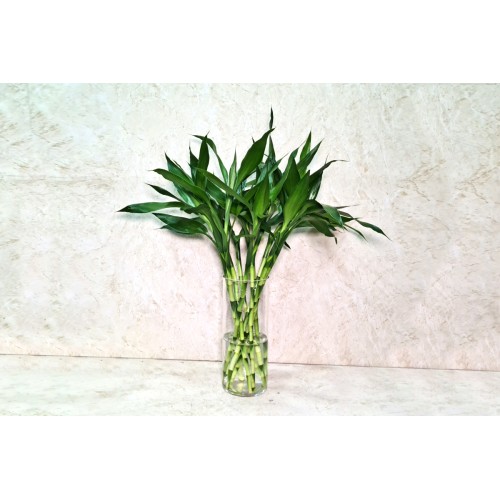 Mini Bamboo Vase 50cm