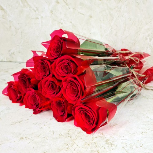 10 Pieces Single Roses Red
