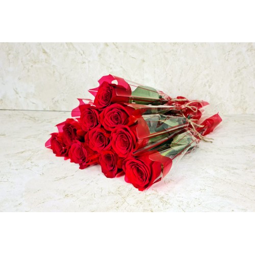 10 Pieces Single Roses Red