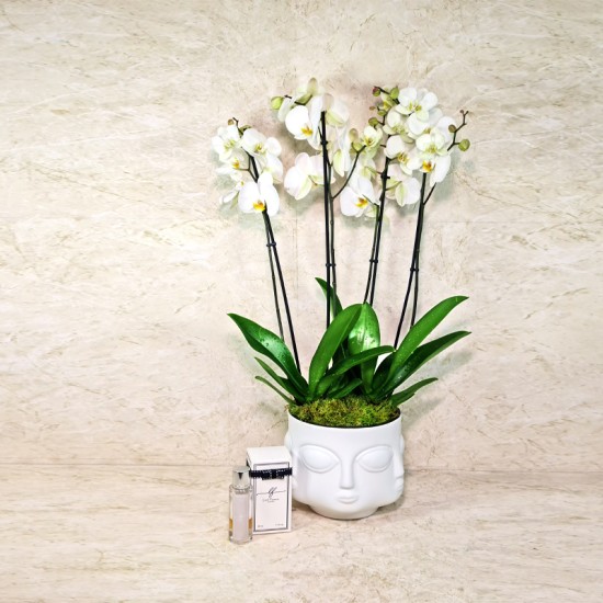 Grand Face Vase 1002