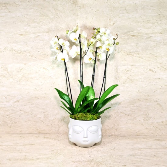 Grand Face Vase 1000