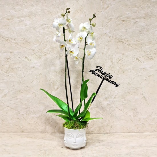 Happy Anniversary 1018