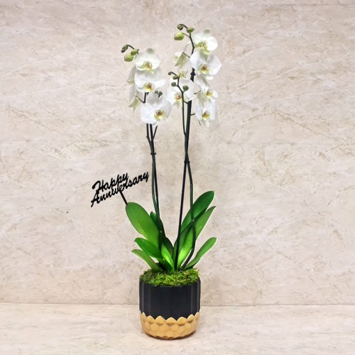 Happy Anniversary 1223