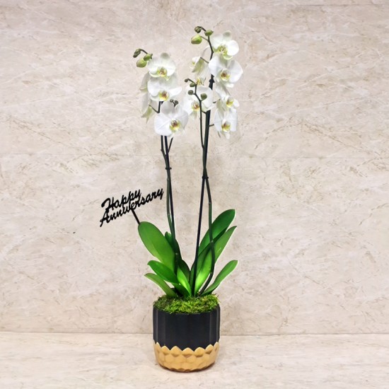 Happy Anniversary 1223