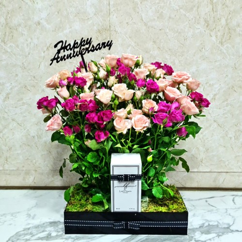 Happy Anniversary 2032