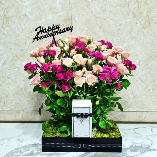 Happy Anniversary 2032