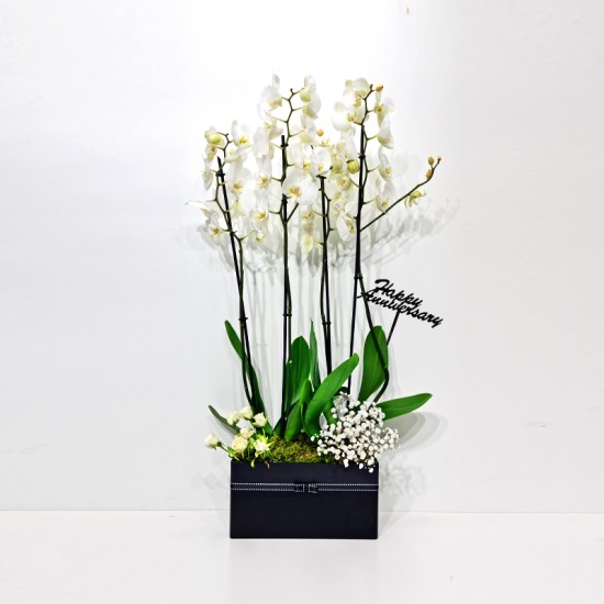 Happy Anniversary 51