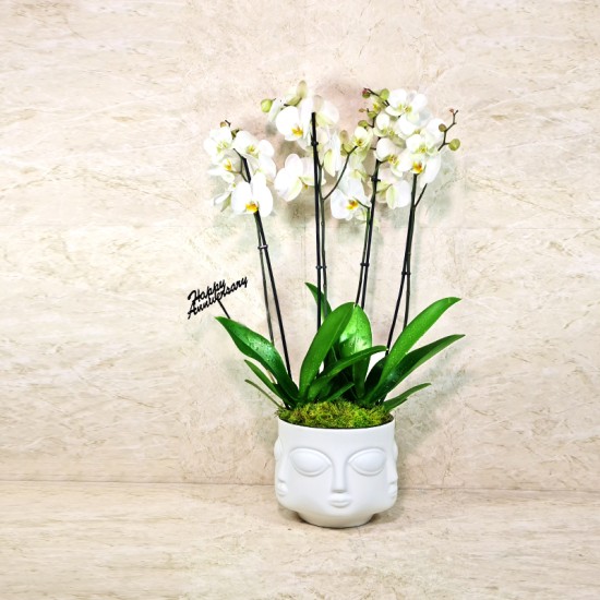 Happy Anniversary 1001