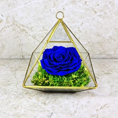 Preserved Rose Blue 1001