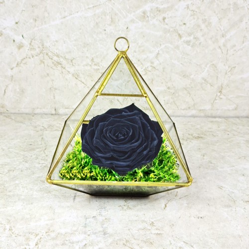 Preserved Rose Black 1001