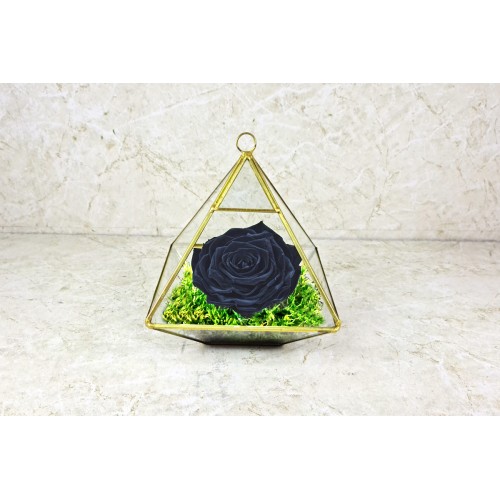 Preserved Rose Black 1001