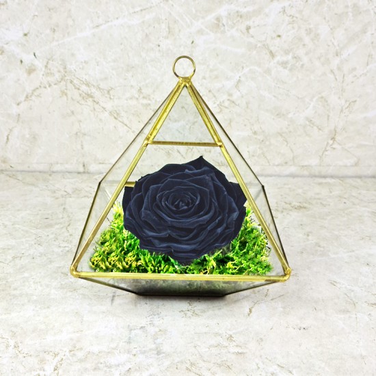 Preserved Rose Black 1001