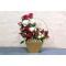 golden basket 2000