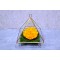 Preserved Yellow Rose 1000