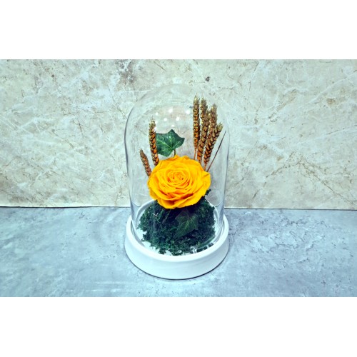 yellow rose forever