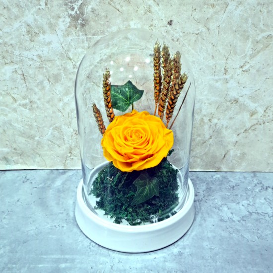 yellow rose forever