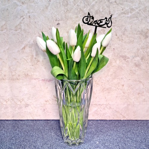 Alf Mabrook 3080 Alf Mabrook 3080