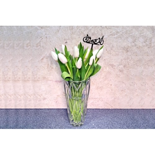 Alf Mabrook 3080