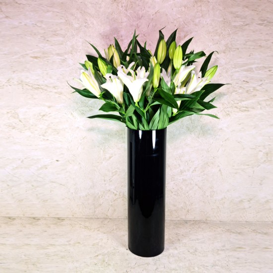 Leef Lily Leef Lily