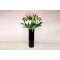Leef Lily