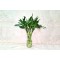 Mini Bamboo Vase 50cm